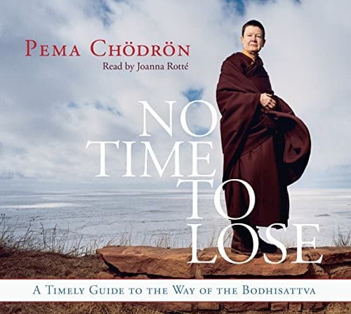 Tapa de No Time to Lose