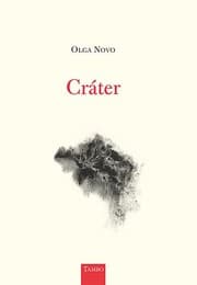 Tapa de Cráter