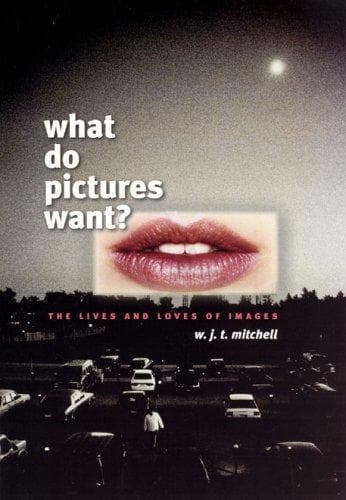 Tapa de What Do Pictures Want?
