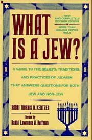 Tapa de What Is a Jew?