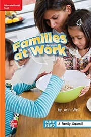 Tapa de Reading Wonders Leveled Reader Families at Work