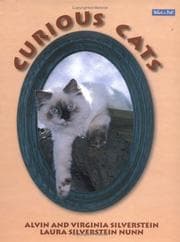 Tapa de Curious cats