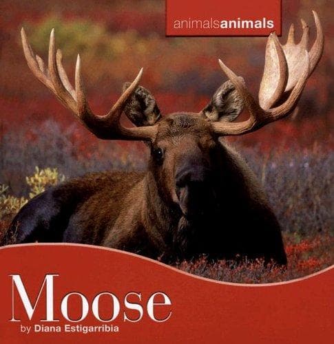 Tapa de Moose