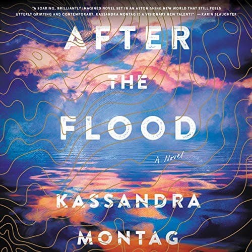 Tapa de After the Flood