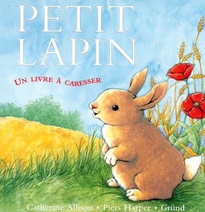 Tapa de Petit lapin
