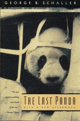 Tapa de The last panda