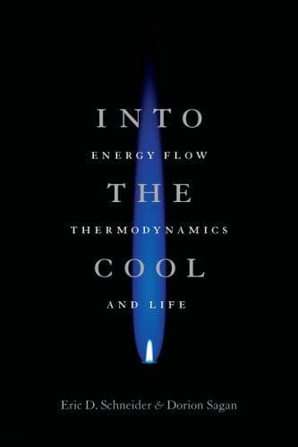 Tapa de Into the cool