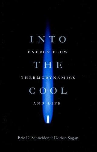 Tapa de Into the Cool