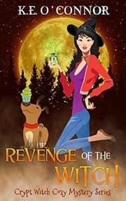 Tapa de Revenge of the Witch