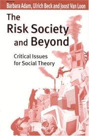 Tapa de The risk society and beyond