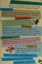 Tapa de Quick Smarts Dangerous Animals