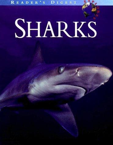 Tapa de Sharks