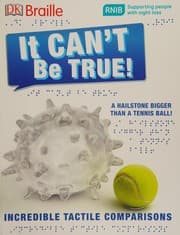 Tapa de It Can't Be True!