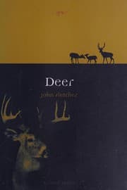 Tapa de Deer