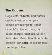 Tapa de I'm allergic to pets