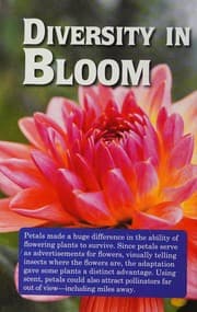 Tapa de Remarkable Plants