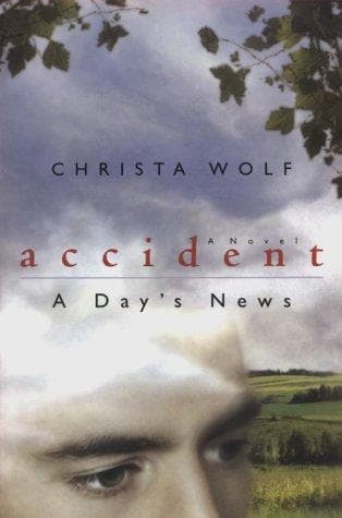 Tapa de Accident: A Day's News