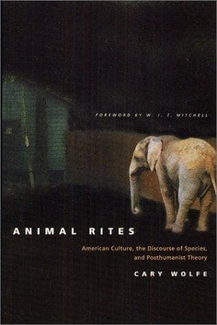 Tapa de Animal Rites