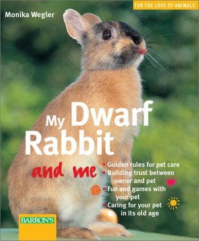 Tapa de My dwarf rabbit and me