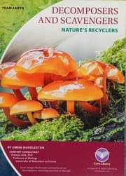 Tapa de Decomposers
