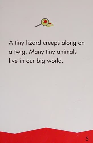 Tapa de Tiny animals