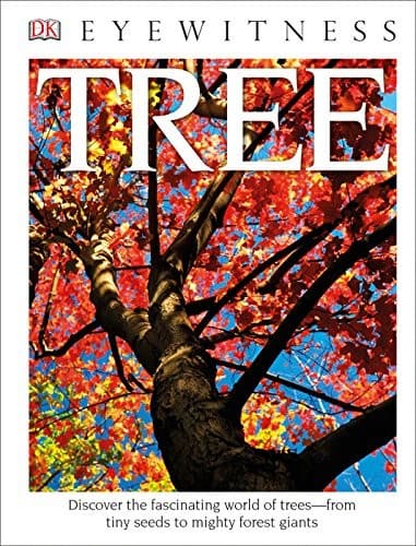Tapa de Tree