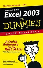 Tapa de Excel 2003 for dummies