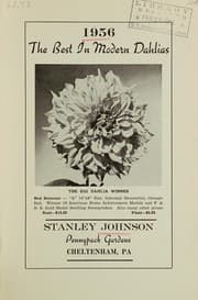 Tapa de 1956, the best in modern dahlias