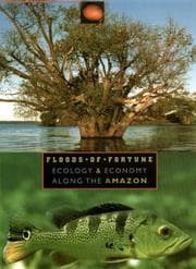 Tapa de Floods of fortune