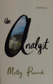 Tapa de The analyst
