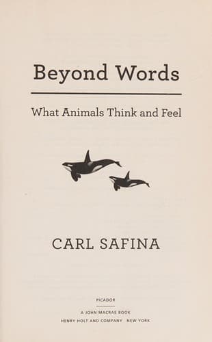 Tapa de Beyond Words