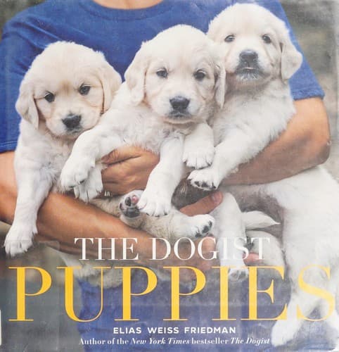 Tapa de The Dogist Puppies