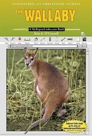 Tapa de The Wallaby (Endangered and Threatened Animals)
