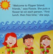 Tapa de Flipper Island