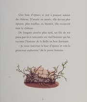 Tapa de La belle au bois dormant