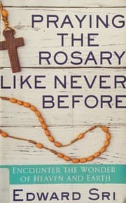 Tapa de Praying the Rosary Like Never Before