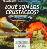 Tapa de ¿Qué Son Los Crustáceos? (What Are Crustaceans?)