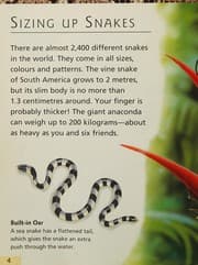 Tapa de Snakes