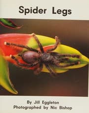 Tapa de Spider legs