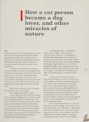Tapa de Supposedly Enlightened Person's Guide to Raising a Dog