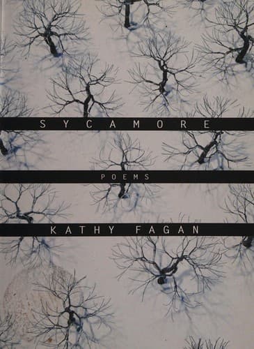 Tapa de Sycamore