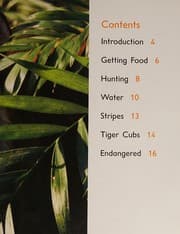 Tapa de Tigers