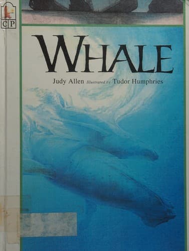 Tapa de Whale