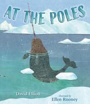 Tapa de At the Poles