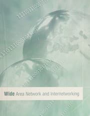 Tapa de Wide Area Network and Internetworking
