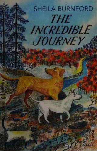 Tapa de The Incredible Journey