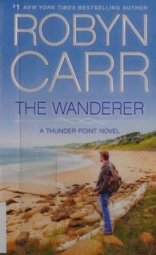 Tapa de The Wanderer