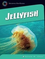 Tapa de Jellyfish