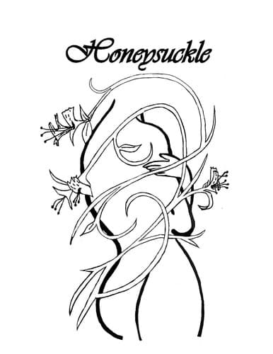 Tapa de Honeysuckle
