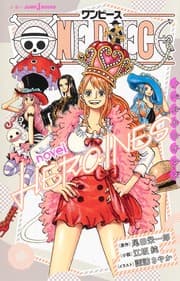 Tapa de ONE PIECE novel HEROINES